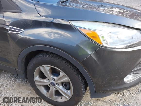✅ 2016 Ford Escape SE • VIN: 1FMCU9GX0GUB92656 • Лот: 43641641. Опубликован ранее на IAAI с пробегом 113 422 миль. Бесплатный доступ к архиву аукционных продаж из США и подробный отчёт об истории автомобиля на DreamBid. Изображение 14.