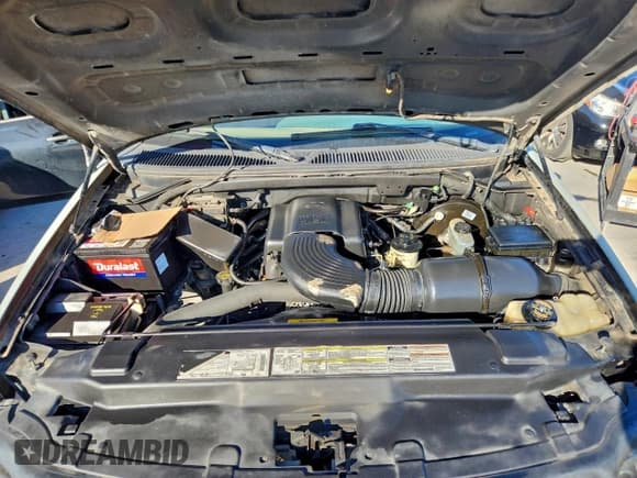 ✅ 1997 Ford F-150 • VIN: 1FTDX0761VKD48196 • Лот: 96678175. Опубликован ранее на Copart с пробегом 266 851 миль. Бесплатный доступ к архиву аукционных продаж из США и подробный отчёт об истории автомобиля на DreamBid. Изображение 11.