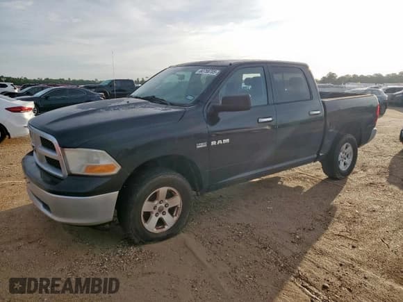 ✅ 2010 Dodge 1500 SLT • VIN: 1D7RB1CT2AS185239 • Lot: 60758705. Wystawiony na Copart z przebiegiem 133 743 mil. Bezpłatny archiwum sprzedaży aukcyjnych z USA i szczegółowy raport historii pojazdu na DreamBid. Zdjęcie 1.
