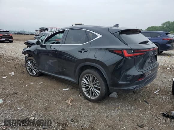 ✅ 2023 Lexus NX 350h Luxury • VIN: 2T2HKCEZ9PC014254 • Lot: 60926135. Wystawiony na Copart z przebiegiem 13 592 mil. Bezpłatny archiwum sprzedaży aukcyjnych z USA i szczegółowy raport historii pojazdu na DreamBid. Zdjęcie 2.