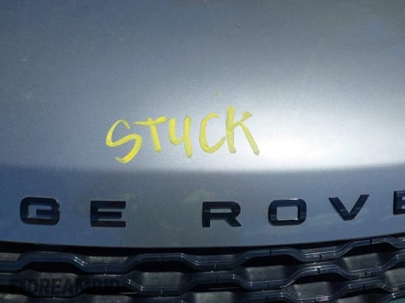 ✅ 2022 Land Rover Range Rover Velar R-Dynamic S • VIN: SALYT2EX1NA346676 • Лот: 42298408. Опубликован ранее на IAAI с пробегом 20 822 миль. Бесплатный доступ к архиву аукционных продаж из США и подробный отчёт об истории автомобиля на DreamBid. Изображение 10.