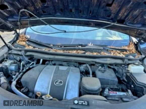 ✅ 2022 Lexus RX 350 • VIN: 2T2AZMAA6NC229302 • Лот: 96582195. Опубликован ранее на Copart с пробегом 7 078 миль. Бесплатный доступ к архиву аукционных продаж из США и подробный отчёт об истории автомобиля на DreamBid. Изображение 7.