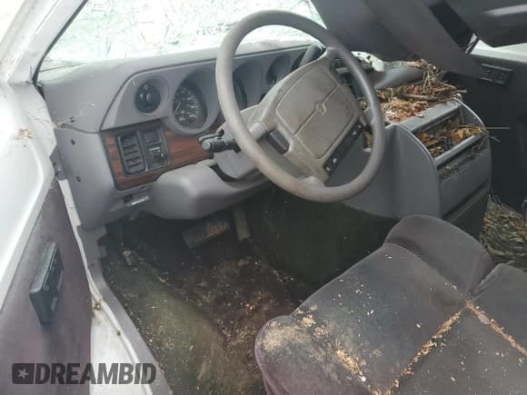 ✅ 1995 Dodge Cargo • VIN: 2B6HB21X2SK519609 • Lot: 76075104. Listed on Copart with 108,397 mi. Free auction sales archive from the USA and detailed vehicle history report at DreamBid. Image 8.