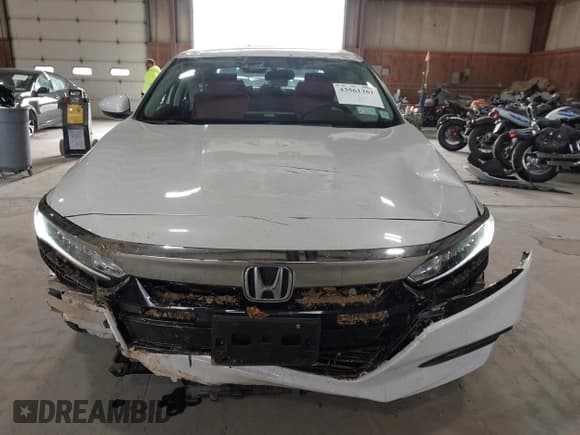 ✅ 2019 Honda Accord LX • VIN: 1HGCV1F12KA022469 • Lot: 43561361. Listed on IAAI with 43,267 mi. Free auction sales archive from the USA and detailed vehicle history report at DreamBid. Image 12.