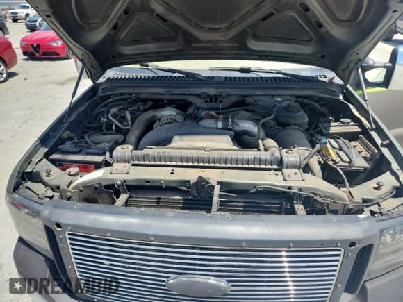 ✅ 2005 Ford Excursion Eddie Bauer • VIN: 1FMSU45P95EA57491 • Lot: 65536275. Wystawiony na Copart z przebiegiem 313 719 mil. Bezpłatny archiwum sprzedaży aukcyjnych z USA i szczegółowy raport historii pojazdu na DreamBid. Zdjęcie 12.