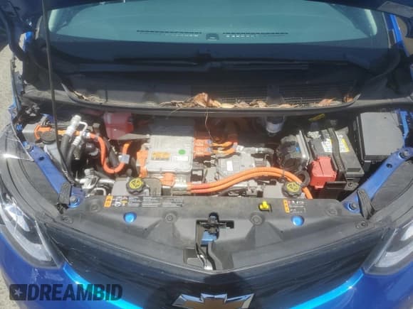 ✅ 2020 Chevrolet Bolt EV LT • VIN: 1G1FY6S06L4122418 • Lot: 64851504. Wystawiony na Copart z przebiegiem 63 437 mil. Bezpłatny archiwum sprzedaży aukcyjnych z USA i szczegółowy raport historii pojazdu na DreamBid. Zdjęcie 11.