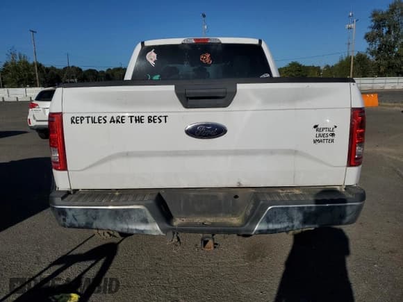✅ 2015 Ford F-150 XLT • VIN: 1FTEW1EG8FKD83697 • Lot: 84055655. Listed on Copart with 162,113 mi. Free auction sales archive from the USA and detailed vehicle history report at DreamBid. Image 6.