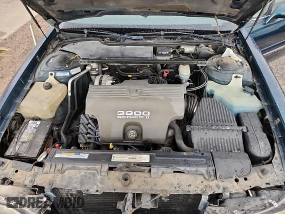 ✅ 1998 Buick LeSabre Custom • VIN: 1G4HP52K4WH546798 • Lot: 81989525. Wystawiony na Copart z przebiegiem 169 914 mil. Bezpłatny archiwum sprzedaży aukcyjnych z USA i szczegółowy raport historii pojazdu na DreamBid. Zdjęcie 11.