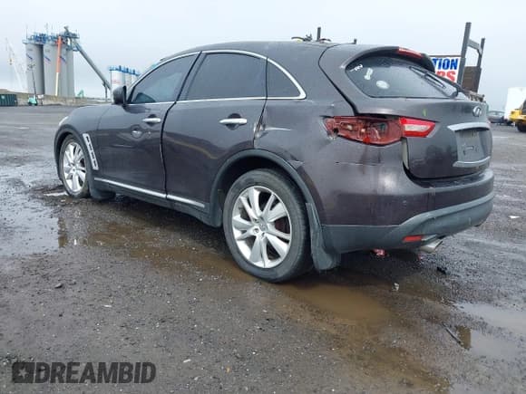 ✅ 2010 Infiniti FX • VIN: JN8AS1MWXAM855659 • Lot: 42105249. Wystawiony na IAAI z przebiegiem 169 905 mil. Bezpłatny archiwum sprzedaży aukcyjnych z USA i szczegółowy raport historii pojazdu na DreamBid. Zdjęcie 3.