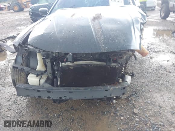 ✅ 2017 Dodge Charger R/T • VIN: 2C3CDXCT1HH667204 • Лот: 43313131. Опубликован ранее на IAAI с пробегом Не указан. Бесплатный доступ к архиву аукционных продаж из США и подробный отчёт об истории автомобиля на DreamBid. Изображение 11.