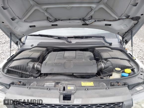 ✅ 2010 Land Rover Range Rover Sport HSE Lux • VIN: SALSK2D43AA232933 • Lot: 43042946. Listed on IAAI with 142,015 mi. Free auction sales archive from the USA and detailed vehicle history report at DreamBid. Image 10.