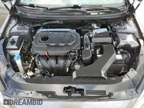 ✅ 2019 Hyundai Sonata SE • VIN: 5NPE24AF2KH796380 • Lot: 49923053. Listed on Copart with 44,190 mi. Free auction sales archive from the USA and detailed vehicle history report at DreamBid. Image 11.