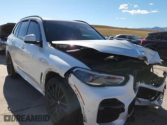 ✅ 2023 BMW X5 xDrive40i • VIN: 5UXCR6C00P9N93168 • Lot: 85510675. Wystawiony na Copart z przebiegiem Nie podano. Bezpłatny archiwum sprzedaży aukcyjnych z USA i szczegółowy raport historii pojazdu na DreamBid. Zdjęcie 15.