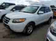 2007 Hyundai Santa Fe GLS with VIN 5NMSG13D07H082430, listed as a Copart auction lot 73949014 with Not provided miles and Salvage title. Bid and sale history available at DreamBid. Image 1.