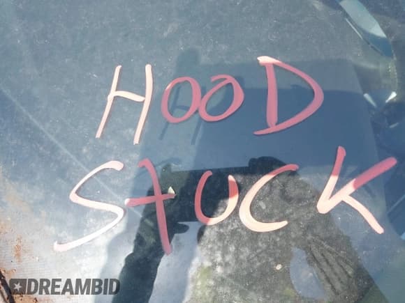 ✅ 2000 BMW 5 Series 528i • VIN: WBADM6348YGU16191 • Лот: 42295709. Опубликован ранее на IAAI с пробегом 208 067 миль. Бесплатный доступ к архиву аукционных продаж из США и подробный отчёт об истории автомобиля на DreamBid. Изображение 10.