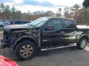 ✅ 2014 Ford F-150 Platinum • VIN: 1FTFW1ET5EFA52990 • Lot: 43692274. Wystawiony na IAAI z przebiegiem 115 718 mil. Bezpłatny archiwum sprzedaży aukcyjnych z USA i szczegółowy raport historii pojazdu na DreamBid. Zdjęcie 15.