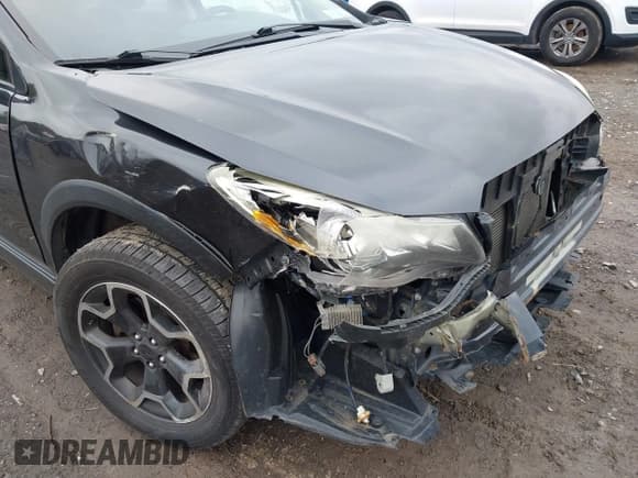 ✅ 2014 Subaru Crosstrek Premium • VIN: JF2GPAVC1E8296451 • Lot: 43428561. Wystawiony na IAAI z przebiegiem 147 836 mil. Bezpłatny archiwum sprzedaży aukcyjnych z USA i szczegółowy raport historii pojazdu na DreamBid. Zdjęcie 18.