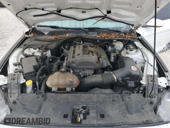 ✅ 2019 Ford Mustang EcoBoost Premium • VIN: 1FA6P8TH8K5116855 • Lot: 69730185. Wystawiony na Copart z przebiegiem 119 628 mil. Bezpłatny archiwum sprzedaży aukcyjnych z USA i szczegółowy raport historii pojazdu na DreamBid. Zdjęcie 11.