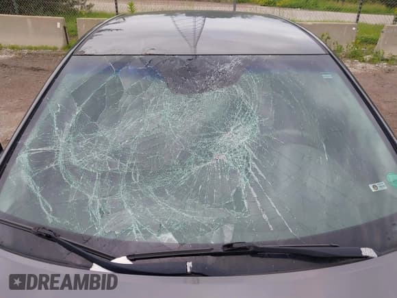 ✅ 2008 Toyota Camry LE • VIN: 4T4BE46K08R029675 • Lot: 42565840. Listed on IAAI with 214,872 mi. Free auction sales archive from the USA and detailed vehicle history report at DreamBid. Image 6.