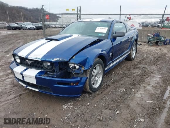 ✅ 2009 Ford Mustang GT • VIN: 1ZVHT82HX95119781 • Лот: 41482288. Опубликован ранее на IAAI с пробегом 70 757 миль. Бесплатный доступ к архиву аукционных продаж из США и подробный отчёт об истории автомобиля на DreamBid. Изображение 2.