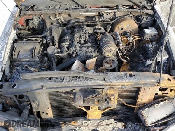 ✅ 2000 Chevrolet S-10 LS • VIN: 1GCCS1958Y8233469 • Лот: 42016345. Опубликован ранее на Copart с пробегом Не указан. Бесплатный доступ к архиву аукционных продаж из США и подробный отчёт об истории автомобиля на DreamBid. Изображение 11.