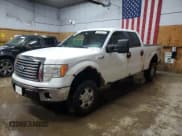 ✅ 2010 Ford F-150 XL • VIN: 1FTFW1EV2AKC36531 • Lot: 53330455. Listed on Copart with 274,593 mi. Free auction sales archive from the USA and detailed vehicle history report at DreamBid. Image 1.