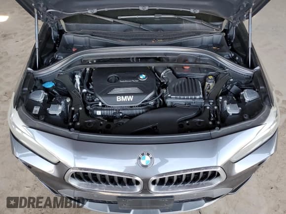 ✅ 2018 BMW X2 sDrive28i • VIN: WBXYJ3C3XJEJ84376 • Lot: 58362225. Listed on Copart with 110,604 mi. Free auction sales archive from the USA and detailed vehicle history report at DreamBid. Image 11.