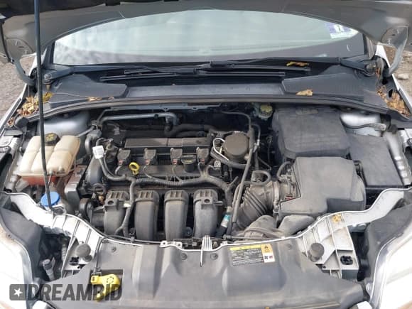 ✅ 2014 Ford Focus SE • VIN: 1FADP3F23EL248911 • Lot: 43486723. Listed on IAAI with 133,164 mi. Free auction sales archive from the USA and detailed vehicle history report at DreamBid. Image 10.