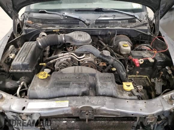 2003 Dodge Dakota with VIN 1D7GG16X23S204317, listed as a Copart auction lot 54830745 with 139,508 mi miles and Salvage title. Bid and sale history available at DreamBid. Image 11.