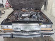 ✅ 1986 Ford Crown Victoria • VIN: 2FABP43F3GX116189 • Лот: 43109054. Опубликован ранее на IAAI с пробегом 48 955 миль. Бесплатный доступ к архиву аукционных продаж из США и подробный отчёт об истории автомобиля на DreamBid. Изображение 10.