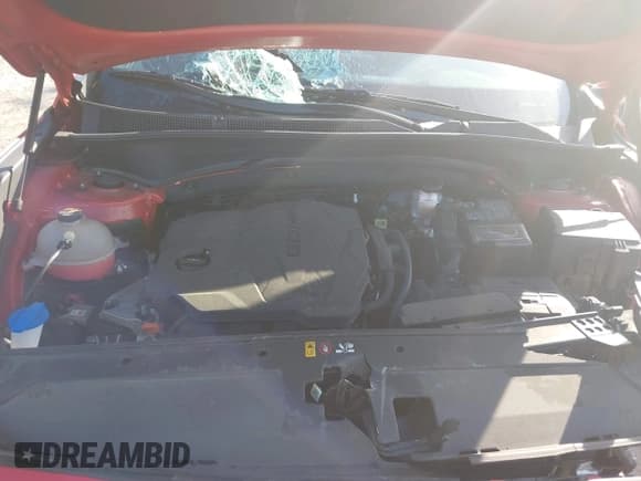 ✅ 2021 Hyundai Santa Fe SE • VIN: 5NMS14AJ3MH357733 • Lot: 43793981. Listed on IAAI with 45,537 mi. Free auction sales archive from the USA and detailed vehicle history report at DreamBid. Image 10.