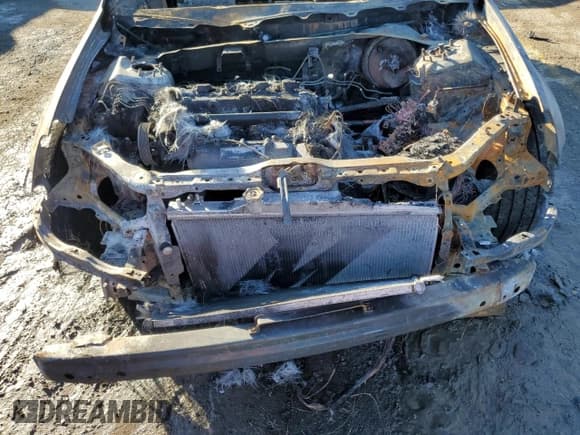 ✅ 2002 Acura RSX Type S • VIN: JH4DC53012C033428 • Lot: 89012405. Listed on Copart with Not provided. Free auction sales archive from the USA and detailed vehicle history report at DreamBid. Image 11.