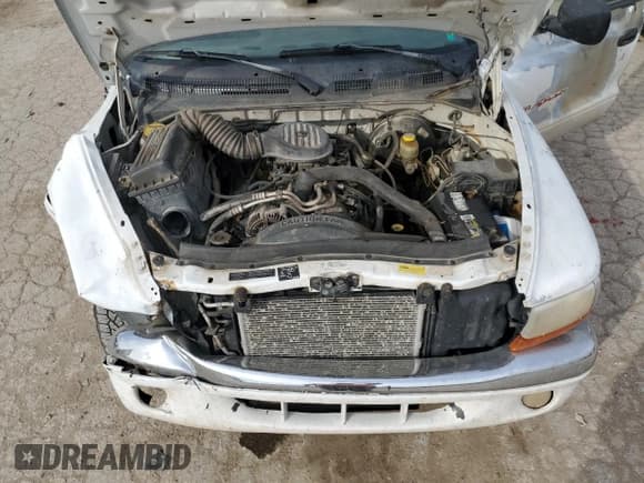 ✅ 1997 Dodge Dakota • VIN: 1B7GG23Y8VS161313 • Lot: 77646454. Wystawiony na Copart z przebiegiem 286 443 mil. Bezpłatny archiwum sprzedaży aukcyjnych z USA i szczegółowy raport historii pojazdu na DreamBid. Zdjęcie 11.