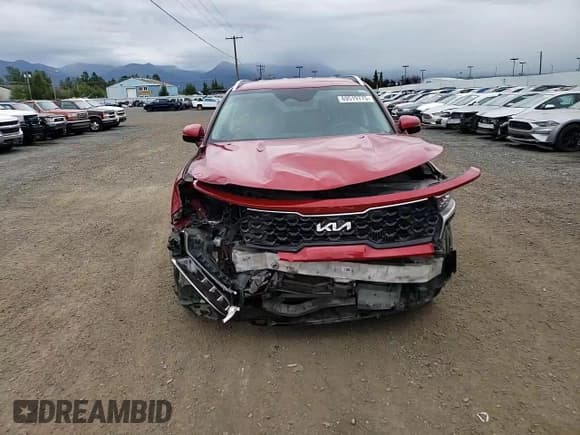 ✅ 2023 Kia Sorento EX • VIN: KNDRHDLG3P5173685 • Lot: 69519775. Wystawiony na Copart z przebiegiem 85 356 mil. Bezpłatny archiwum sprzedaży aukcyjnych z USA i szczegółowy raport historii pojazdu na DreamBid. Zdjęcie 14.