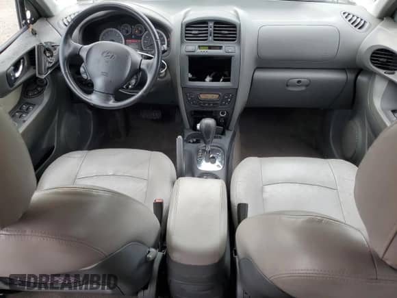 2005 Hyundai Santa Fe GLS with VIN KM8SC13E45U894450, listed as a Copart auction lot 81126475 with 117,824 mi miles and Salvage title. Bid and sale history available at DreamBid. Image 8.