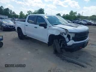 2024 Chevrolet Silverado 1500 Custom Trail Boss с VIN 3GCPDCEK2RG210591, выставлен на аукционе IAAI как лот 42157840 с пробегом 36 744 миль миль и . История ставок и продаж доступна на DreamBid. Изображение 1.