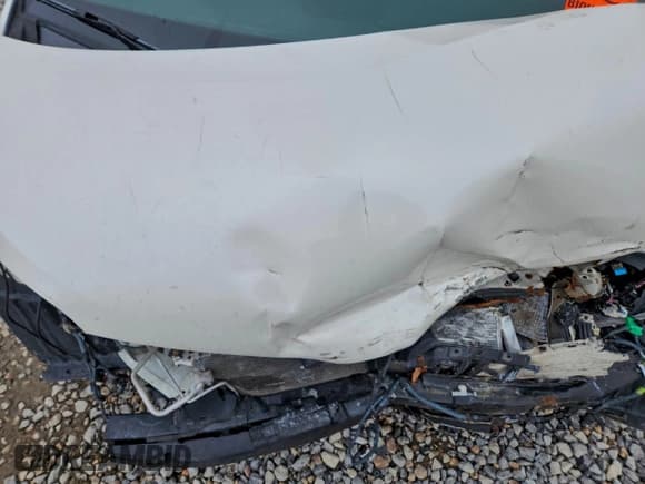 ✅ 2019 Toyota Sienna Limited • VIN: 5TDYZ3DC4KS981562 • Lot: 95432565. Listed on Copart with Not provided. Free auction sales archive from the USA and detailed vehicle history report at DreamBid. Image 12.