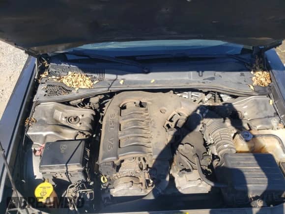 2009 Dodge Charger SXT с VIN 2B3KA33V09H566345, выставлен на аукционе Copart как лот 77218464 с пробегом 284 499 миль миль и Списание • Salvage title. История ставок и продаж доступна на DreamBid. Изображение 11.