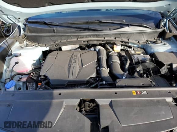 2024 Hyundai Santa Cruz Limited z VIN 5NTJEDAF7RH100548, wystawiony jako Copart lot #88242865 z przebiegiem 4 696 mil mil oraz Szkoda całkowita • Salvage title. Historia ofert i sprzedaży dostępna na DreamBid. Obrazek 12.