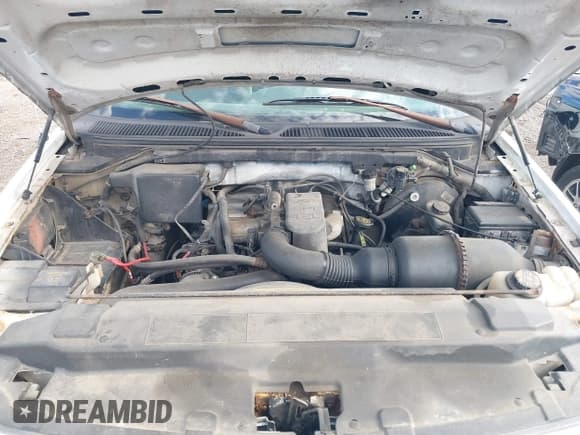 ✅ 1997 Ford F-150 • VIN: 2FTDF0725VCA77941 • Лот: 42590774. Опубликован ранее на IAAI с пробегом 274 178 миль. Бесплатный доступ к архиву аукционных продаж из США и подробный отчёт об истории автомобиля на DreamBid. Изображение 10.