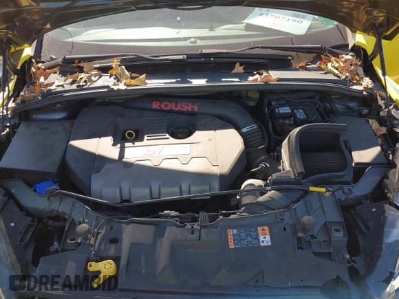 ✅ 2017 Ford Focus ST • VIN: 1FADP3L98HL282574 • Lot: 43707190. Listed on IAAI with 125,893 mi. Free auction sales archive from the USA and detailed vehicle history report at DreamBid. Image 10.