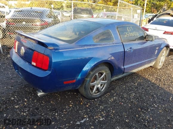 ✅ 2006 Ford Mustang Standard • VIN: 1ZVFT80N065219920 • Lot: 43519119. Wystawiony na IAAI z przebiegiem Nie podano. Bezpłatny archiwum sprzedaży aukcyjnych z USA i szczegółowy raport historii pojazdu na DreamBid. Zdjęcie 4.