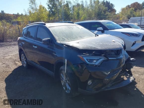 ✅ 2016 Toyota RAV4 Limited • VIN: JTMDJREV7GD006887 • Лот: 43383015. Опубликован ранее на IAAI с пробегом 76 131 миль. Бесплатный доступ к архиву аукционных продаж из США и подробный отчёт об истории автомобиля на DreamBid. Изображение 13.