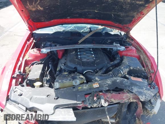 ✅ 2012 Ford Mustang GT Premium • VIN: 1ZVBP8FF9C5229733 • Lot: 42932652. Listed on IAAI with Not provided. Free auction sales archive from the USA and detailed vehicle history report at DreamBid. Image 10.