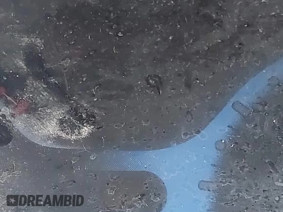 ✅ 2009 Nissan Cube S • VIN: JN8AZ28RX9T105816 • Лот: 42255718. Опубликован ранее на IAAI с пробегом Не указан. Бесплатный доступ к архиву аукционных продаж из США и подробный отчёт об истории автомобиля на DreamBid. Изображение 15.