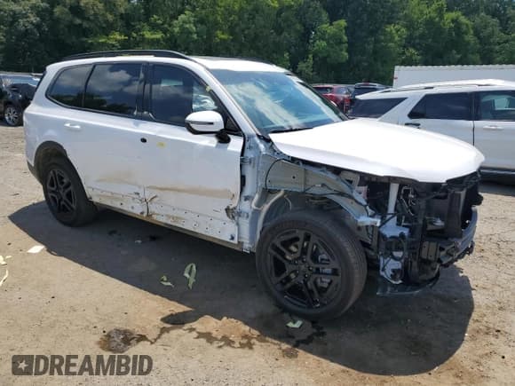 ✅ 2025 Kia Telluride SX X-Line • VIN: 5XYP5DGC4SG567736 • Lot: 65791825. Listed on Copart with 5,096 mi. Free auction sales archive from the USA and detailed vehicle history report at DreamBid. Image 4.