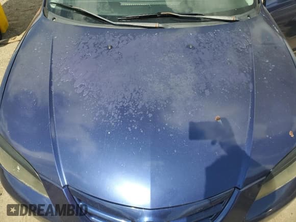 ✅ 2005 Mazda 3 s • VIN: JM1BK323351302217 • Lot: 85388525. Wystawiony na Copart z przebiegiem 256 628 mil. Bezpłatny archiwum sprzedaży aukcyjnych z USA i szczegółowy raport historii pojazdu na DreamBid. Zdjęcie 11.