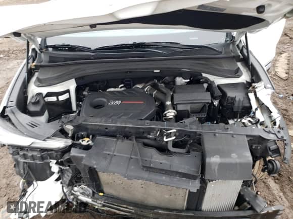 2019 Hyundai Santa Fe Ultimate z VIN 5NMS5CAA5KH107101, wystawiony jako Copart lot #36755253 z przebiegiem 43 696 mil mil oraz . Historia ofert i sprzedaży dostępna na DreamBid. Obrazek 13.