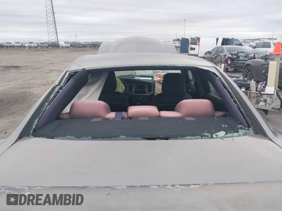 2011 Dodge Charger Rallye с VIN 2B3CL3CG0BH562558, выставлен на аукционе IAAI как лот 41527030 с пробегом 137 433 миль миль и . История ставок и продаж доступна на DreamBid. Изображение 14.