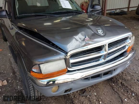2003 Dodge Dakota SLT with VIN 1D7HL42X03S238022, listed as a IAAI auction lot 42712721 with 122,865 mi miles and . Bid and sale history available at DreamBid. Image 6.